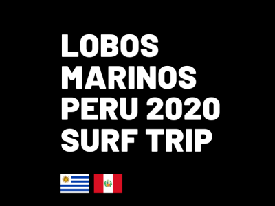 Lobos Marinos (logo-only) branding logo