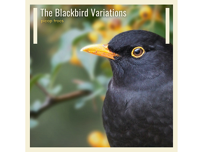 Picop Trocs - The Blackbird Variations (album cover) album cover design