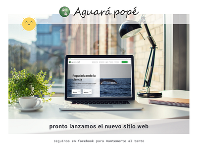 Aguara Pope - Website (teaser) branding design teaser website