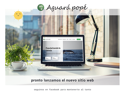 Aguara Pope - Website (teaser)