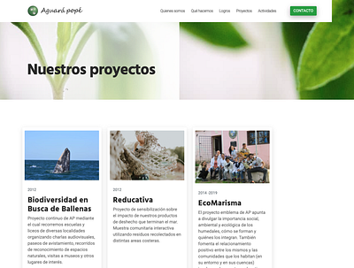 Aguara Pope Website (screenshot #6) design website