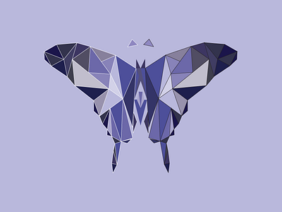 Polygon Butterfly