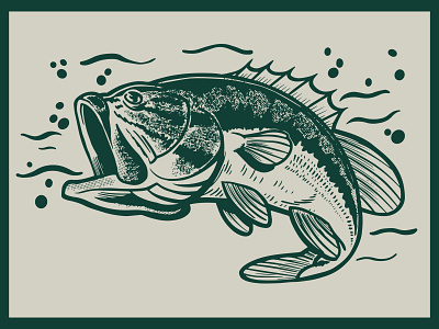bass adobe bass design fish graphic illustration illustrator ipad procreate shot vector