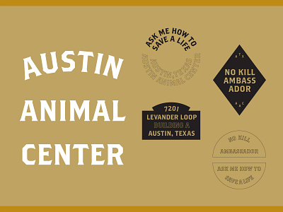 Austin Animal Center austin animal center
