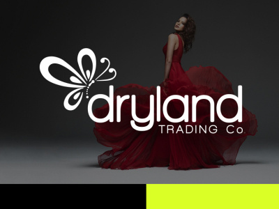 DryLand Logo Design