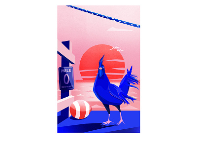 American Rooster design graphic design illustration vector