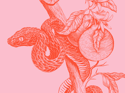 💀🎨 Animal Kingdom 06 animal animal kingdom bible branch branding design forbidden fruit illustration kanye orange photoshop pink reptile scales snake tree