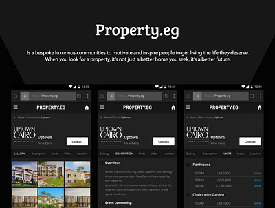 Property.eg, leading real estate portal branding design flat responsive ui ux web deisgn