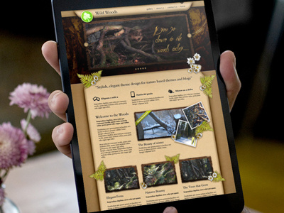 Wild Woods website design