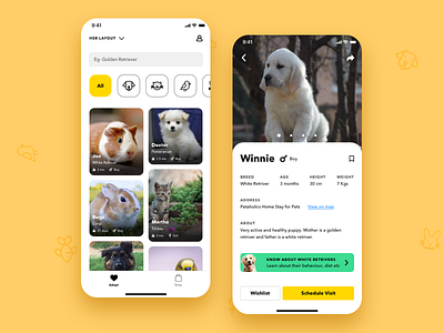 Pet Adoption Platform adopt dog adoption ios app minimal design pet adoption pet adoption app pet app pet finder