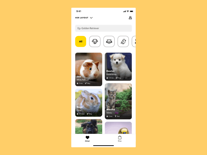 Pet Adoption Platform adopt dog adoption ios app minimal ui pet adoption pet finder principle principle for mac prototype
