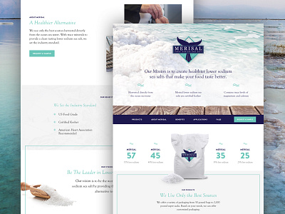 Merisal Sea Salt health landing page minimal nautical ocean product salt sea web