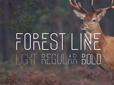Forest Line Condensed Font
