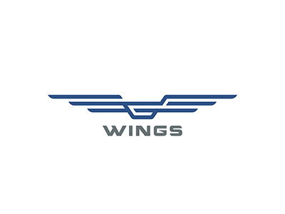 Wings Logo Bird Abstract abstract bird eagle emblem falcon flying heraldic linear logo logotype outline wings