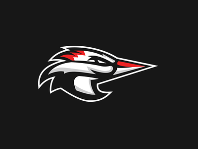 Woodpecker Sports Logo bird logo design eagle football logo logo logo design modern logo modern logo design modern sports logo sports bird logo sports design sports logo sports logo inspiration sports logo inspo woodpecker woodpecker logo woodpecker sports logo