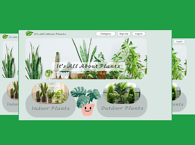 Blog Screen About House Plants