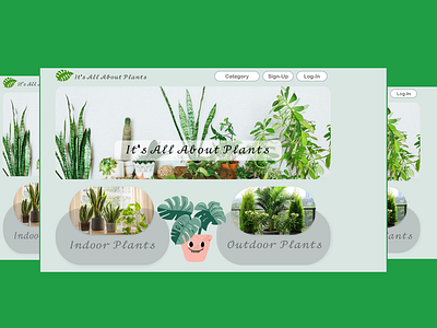 Blog Screen About House Plants