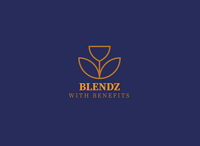 Blendz-logo branding design graphic logo ux