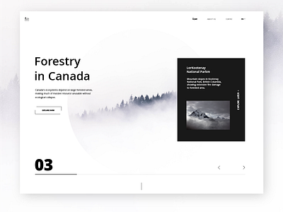 Canadian Forests adobe art black black and white branding button design landing page ui ux web white