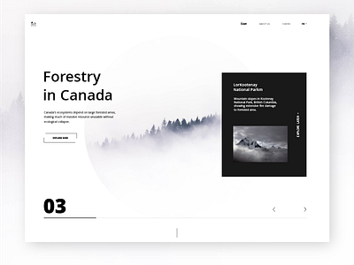 Canadian Forests