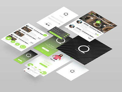 The Q - Playlist Sharing App Interface Design