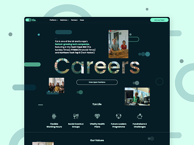 TLA Careers Page aqua bright design flat ui ux vector web website
