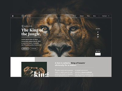 King concept dark jungle king lion online responsive ui website