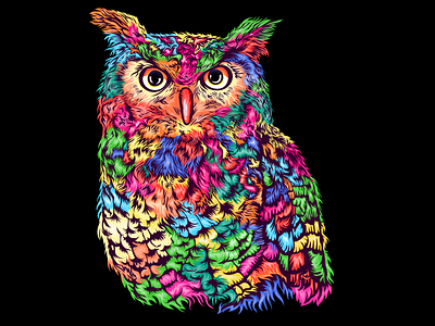 Colorful Owl Vector Portrait, Multi Colored Illustration.