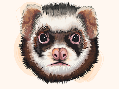 Ferret Head Vector Portrait.