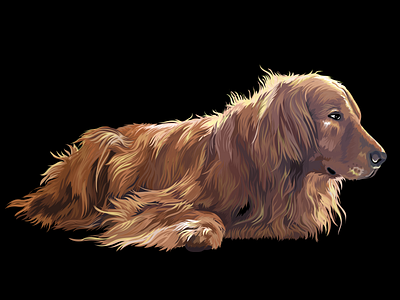 English Cocker Spaniel, Portrait, Vector illustration.