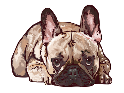 Pug Dog Vector Illustration.