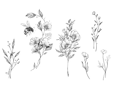 Botanical illustrations for Gratitude Journal