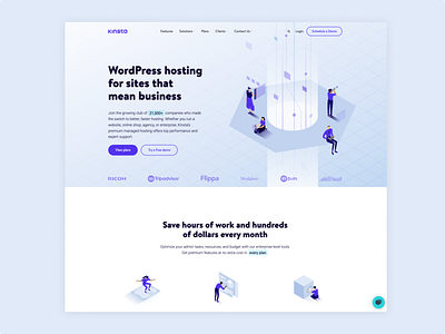 Kinsta - Homepage redesign branding corporate enterprise hero homepage illustration ui ux vector website