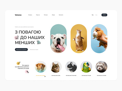 The Hero screen of the Veterinary clinic branding clinic concept design homepage illustration interface logo ui ux veterinary website