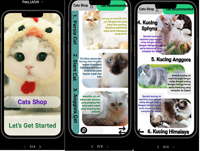 Cats_Shop_UI/UX cats uiux