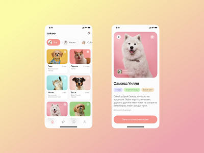 Animal Shelter App