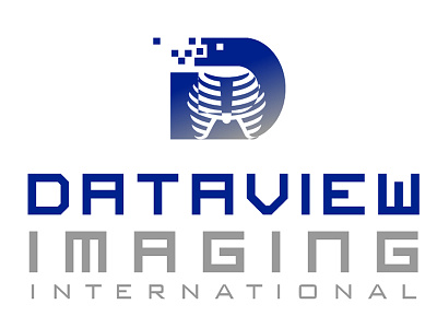 Dataview Imaging International Logo Design blake andujar logo design dataview imaging international medical equipment