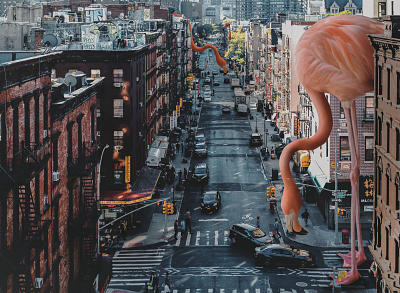 Flamingo on the street graphic design