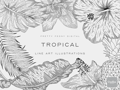 Tropical Illustrations design graphic design illustration