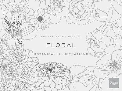 Botanical Illustrations design graphic design illustration