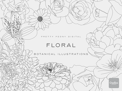 Botanical Illustrations