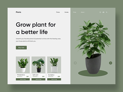 Plant Shop Website design ecommerce header header design hero header interface landing landingpage plant plant shop plants shop shop page ui ux web web design web marketing web ui website website design