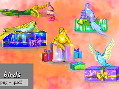 Budgies and gifts set animal bird budgerigar budgie bird bundle digital art gifts illustration presents procreate set