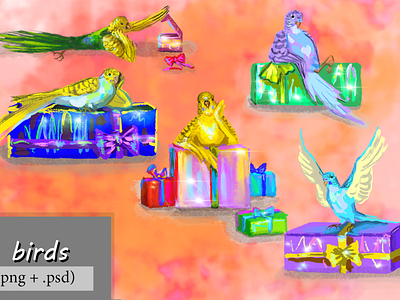 Budgies and gifts set