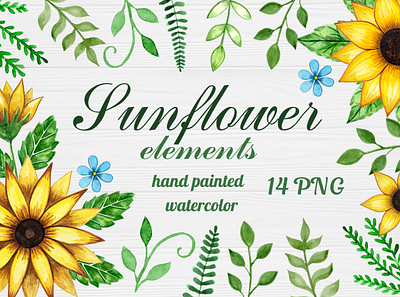 Sunflower elements design illustration