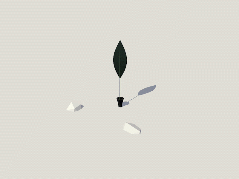 Bird of Paradise 3d 3d art animation art bird of paradise c4d leaf meditative minimal movement nature plant white