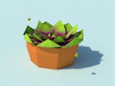 Graptosedum 3d bees! c4d illustration low poly