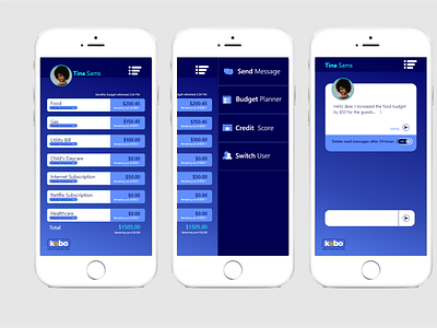 Budgeting App Design uxui