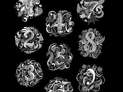 All numbers flourishes illustration lettering