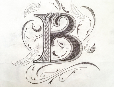 B Letter flourishes illustration lettering script